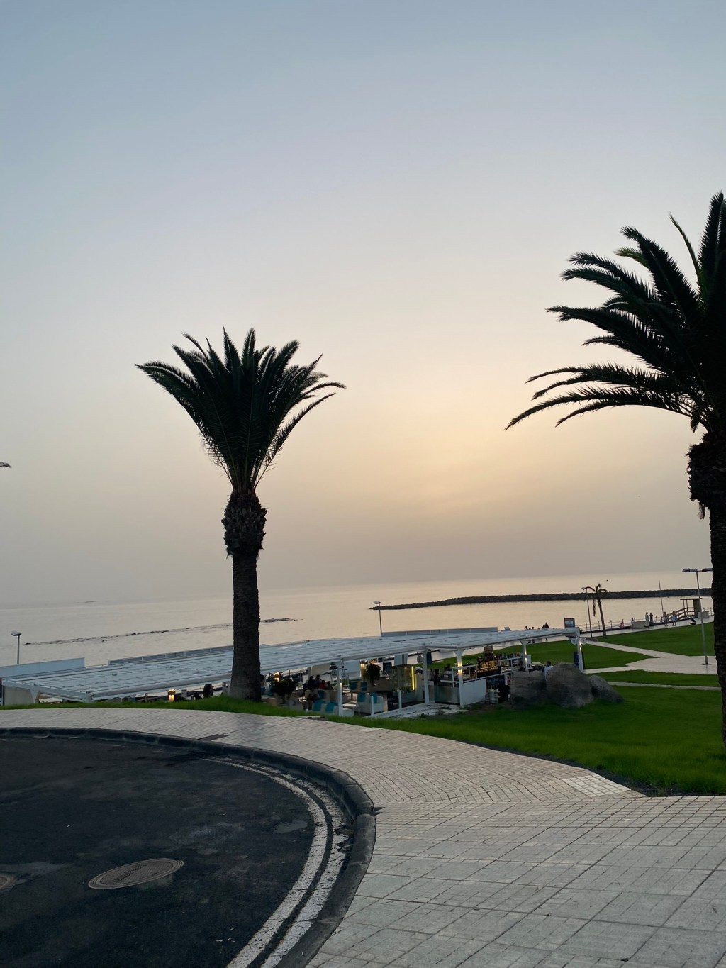 Paisaje de playa con palmeras